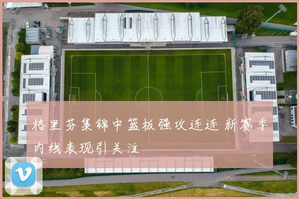 格里芬集锦中篮板强攻连连 新赛季内线表现引关注