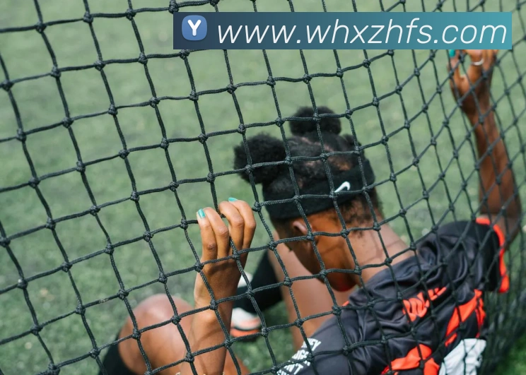 世界杯app平台发展历程